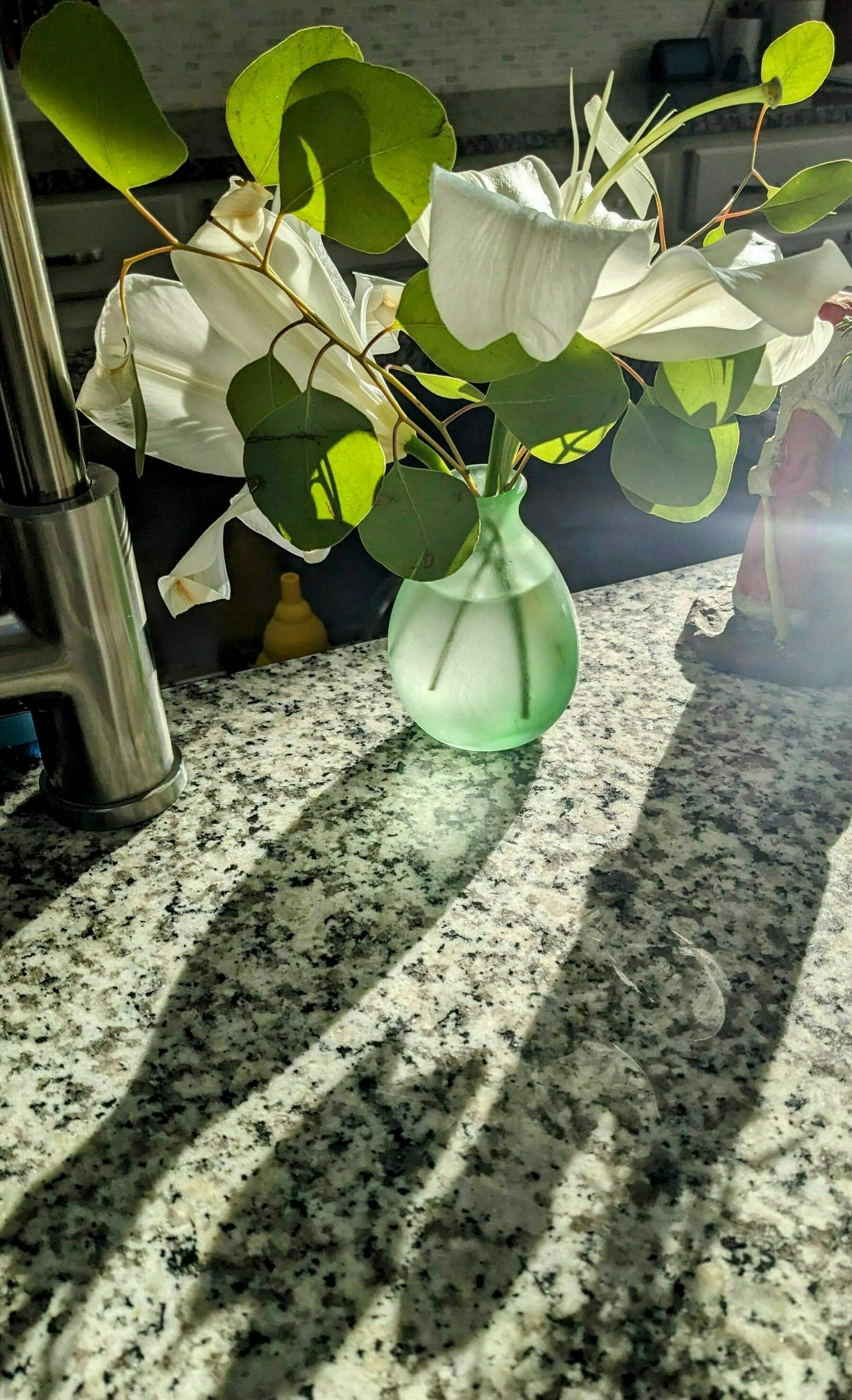 white flowers in a green vase backlit by morning sun