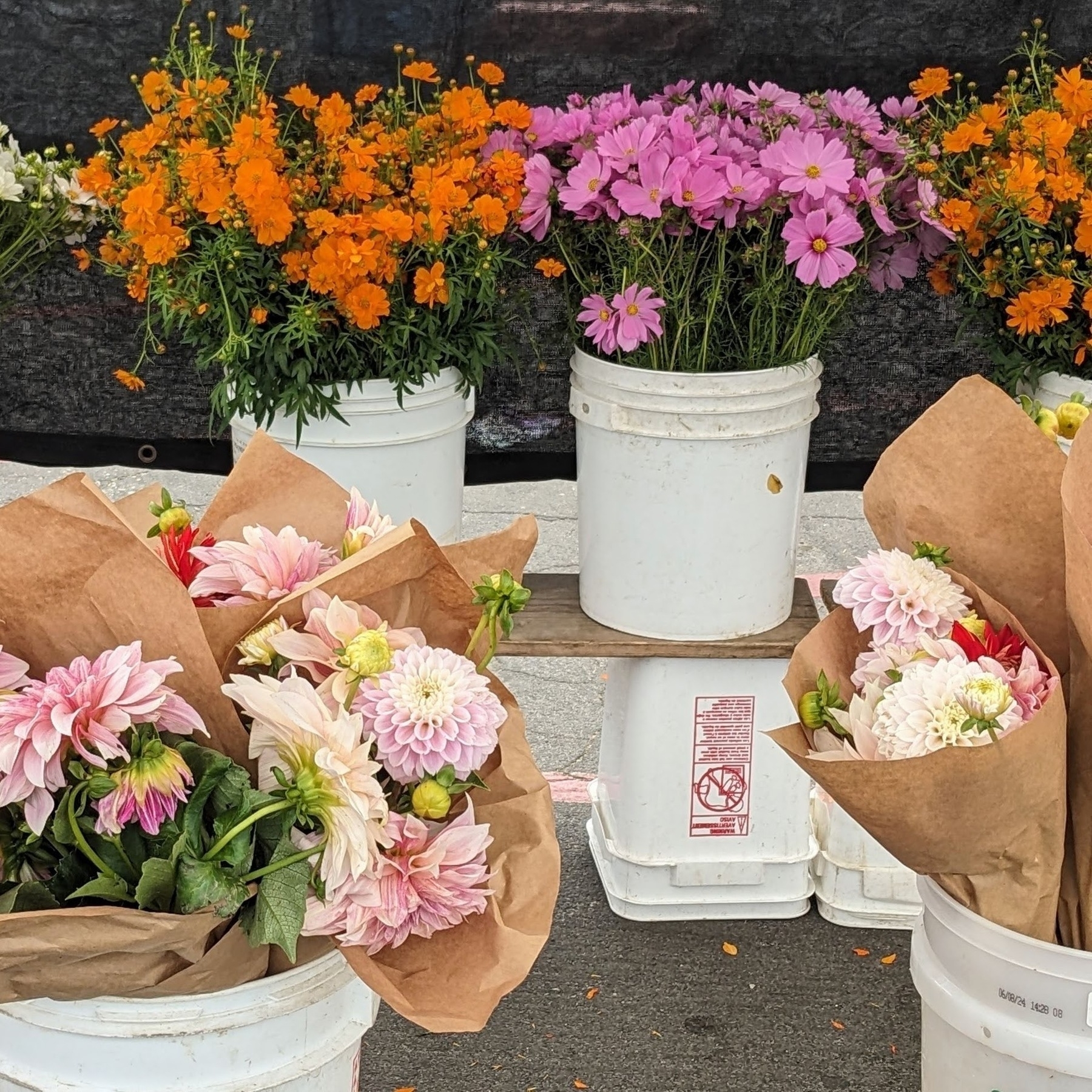 Auto-generated description: Buckets of colorful flowers, including orange, pink, and pale purple blooms, are arranged on display.