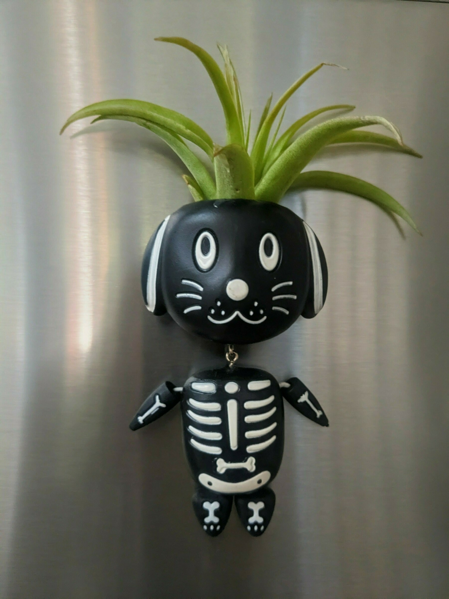 a stylized black ceramic puppy dog skeleton figure whose features are shown by white lines with a small succulent plant growing out of the top of its head.